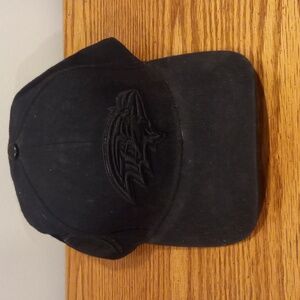 Baltimore Ravens Hat